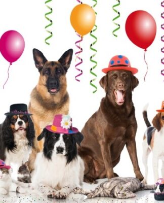 Celebratedogs