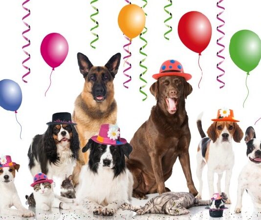 Celebratedogs