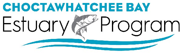 Choctawhatchee Bay Estuary