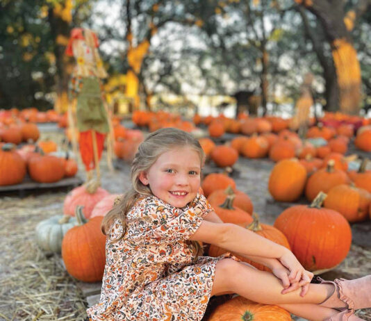 Camp Helen Pumpkins