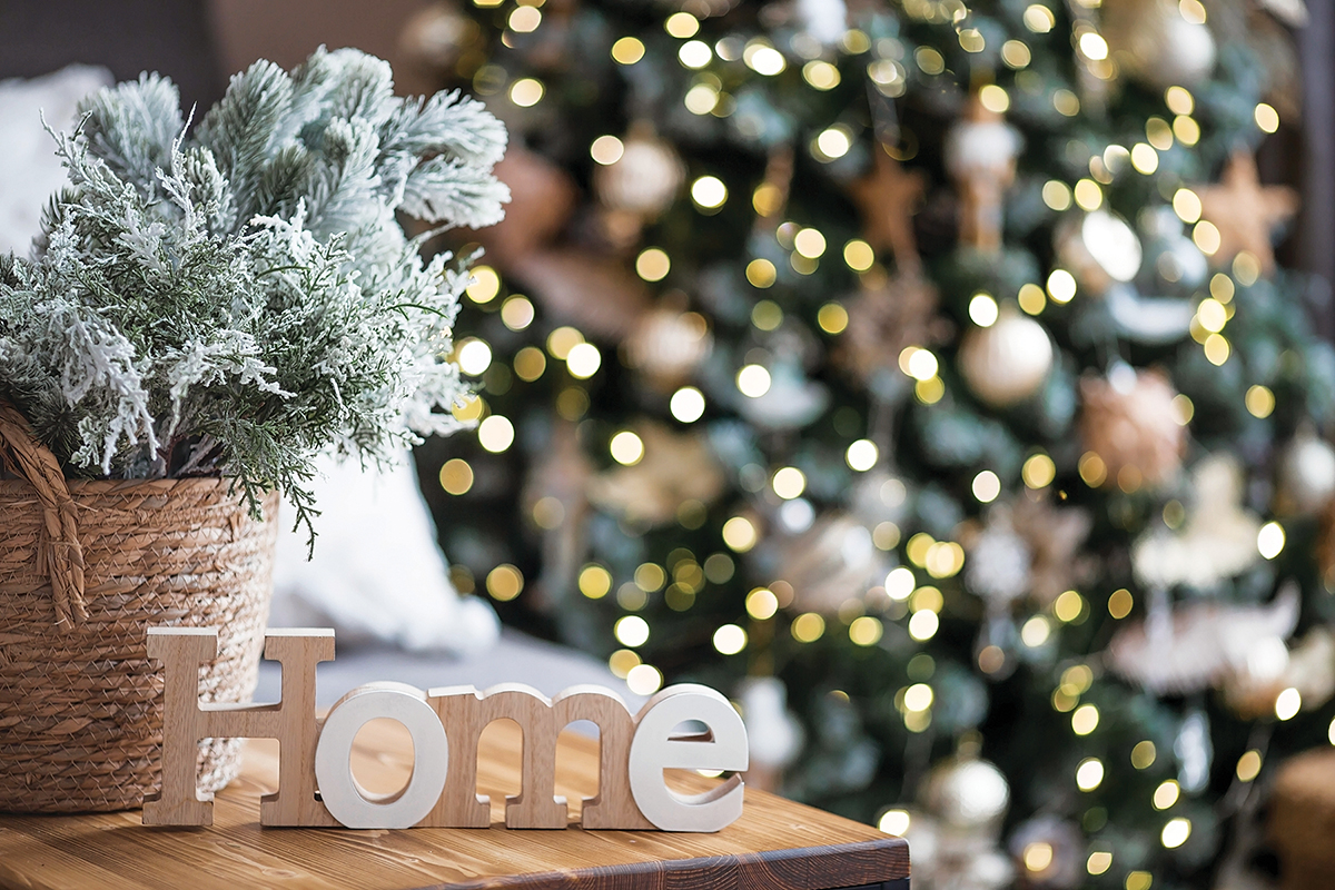 Embrace the Spirit of Giving by Supporting Boy Scout Troop 562’s Festive Christmas Tree & Wreath Fundraiser!