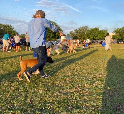 Dog-Harmony Hosts the 9th Annual Doggie EGGstravaganza