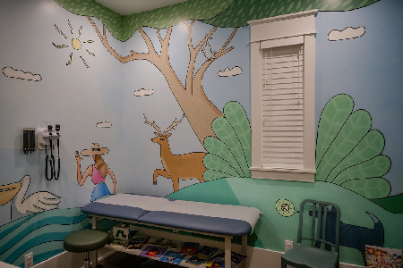 Francisco Adaro Mural In A Pediatric Exam Room At The Point Washington Medical Clinic. Photo Credit Lynn Crow Photography