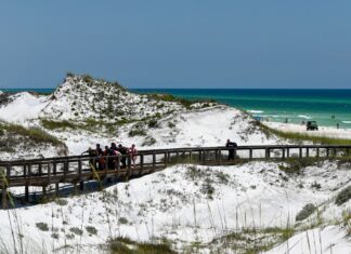 Swfd Beach Shark Rescue