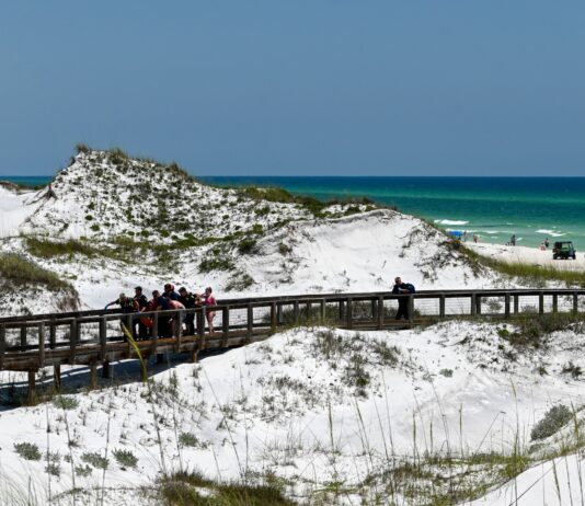 Swfd Beach Shark Rescue