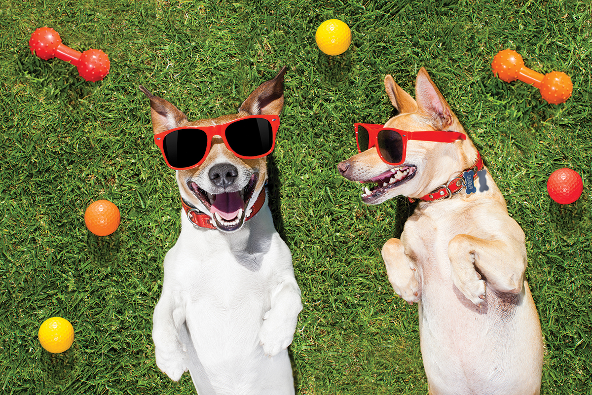 Dog-Harmony’s 10th Annual Doggie EGGstravaganza Returns to Grand Boulevard at Sandestin