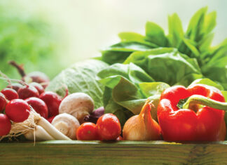 Fresh Organic Vegetables