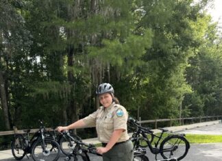 E Bikes