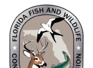 Florida Fish Logo