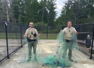 Walton County Net
