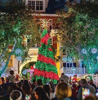 Baytowne Christmas Tree