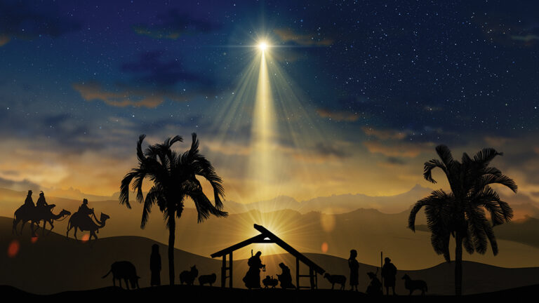 Nativity Christmas Story Under Starry Sky