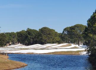 Burnt Pines Snow
