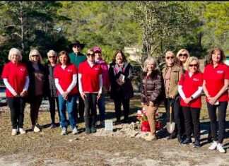Photo Arbor Day Jan 2025