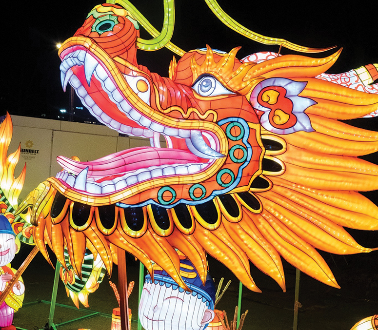SeaLight Festival Returns for 2025 with Stunning New Displays!
