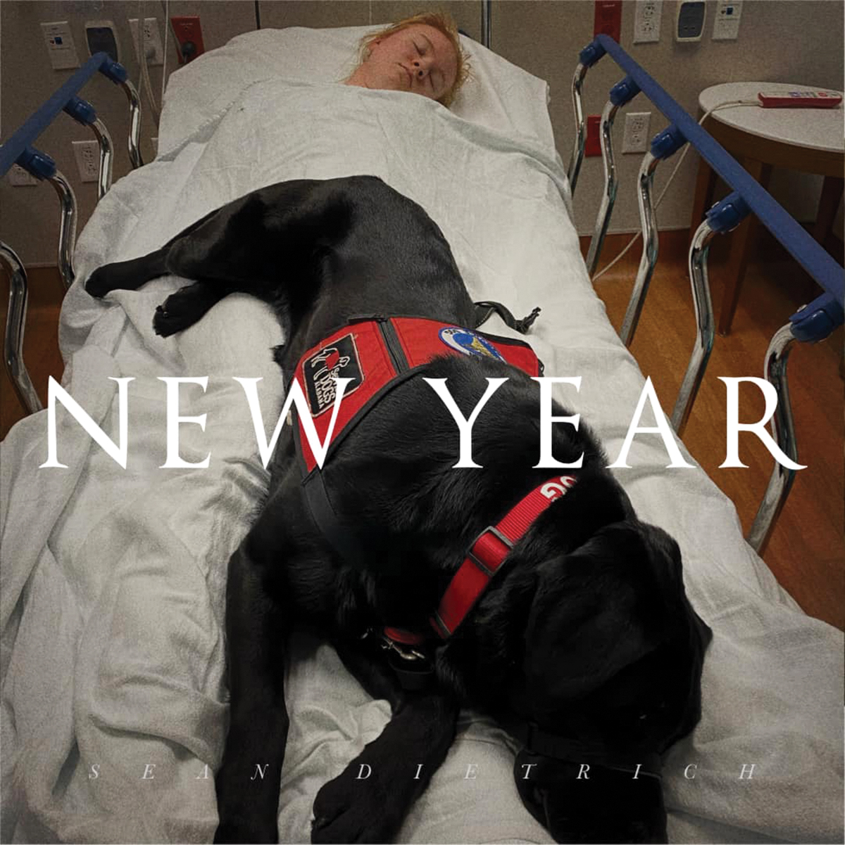 Sean of the South: New Year