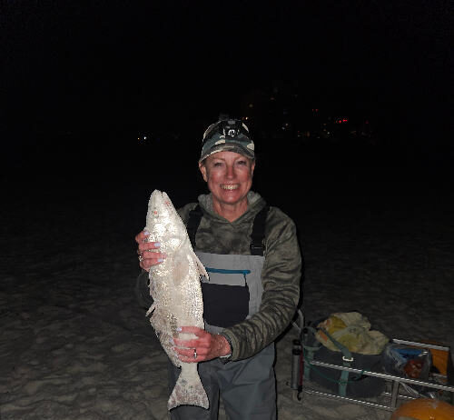 Susan Predella Redfish Night Catch