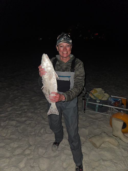 Susan Predella Redfish Night Catch