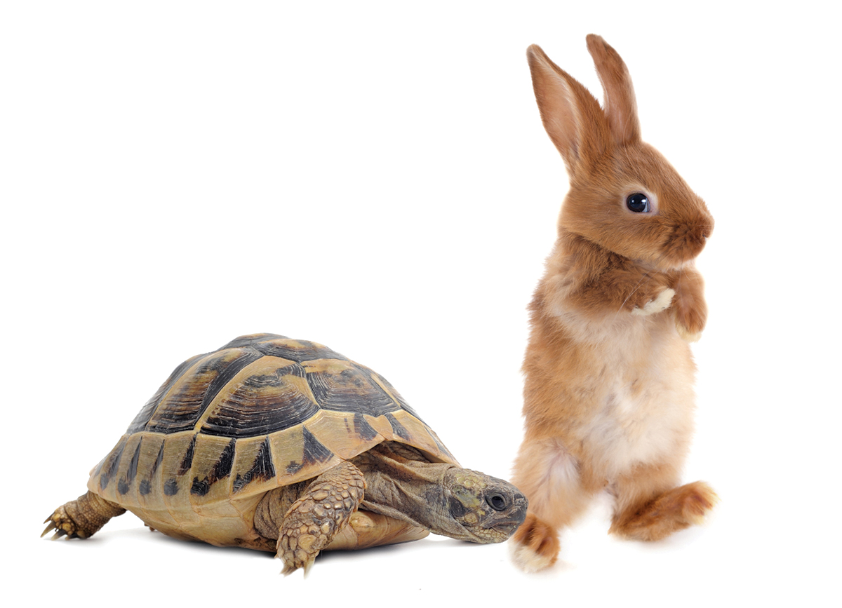 Wellness Is a Marathon, Not a Sprint:  Why Integrative Care Matters