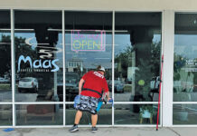 Fish Window Cleaners At Glass