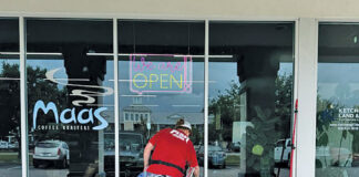 Fish Window Cleaners At Glass