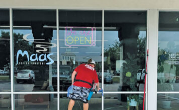 Fish Window Cleaners At Glass