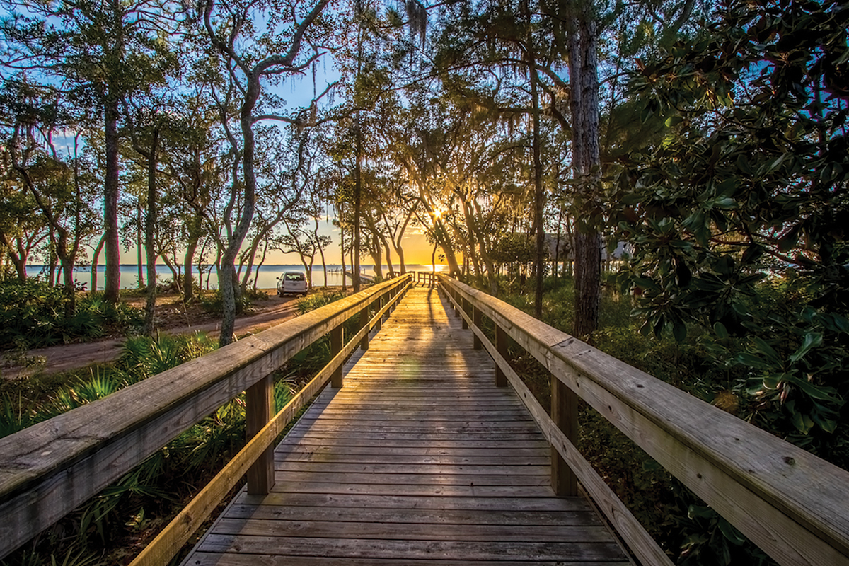 CBA’s “State of the Basin”: How Oyster Gardening Is Reviving Choctawhatchee Bay