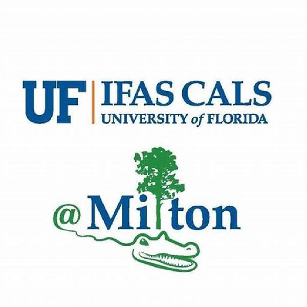 Photo Uf Milton