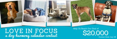 Love In Focus