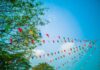 Summer Events