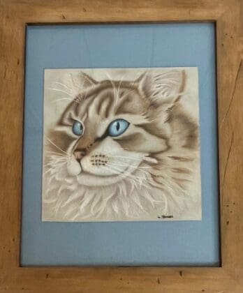 Meowsterpieces Lane O. Barker Colored Pencil Blue Eyes Adult Category (2)
