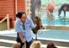 E.O. Wilson Biophilia Center to Open to the Public Every Friday, Year Round, Starting September 4 Biophilia Center