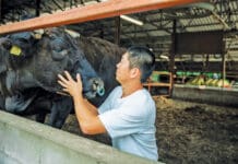 From Kobe to 30A: Extraordinary Evenings Ahead at Old Florida Fish House Farmer And Cow Kobe 02